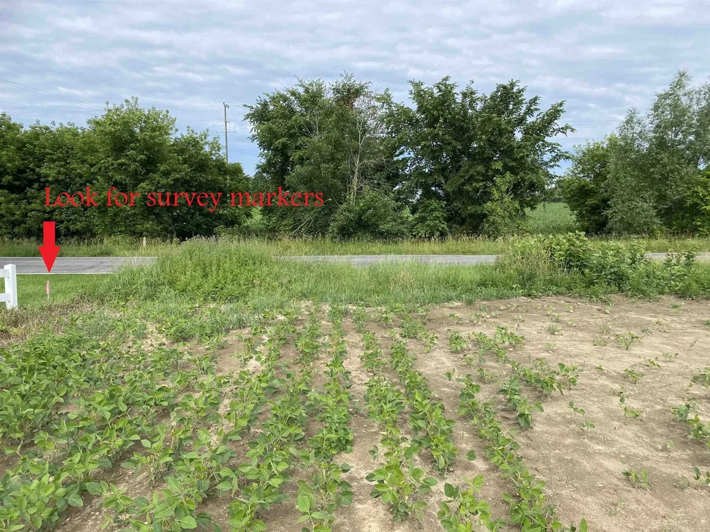 0 Elm (parcel B) Road Leroy Township MI 48892