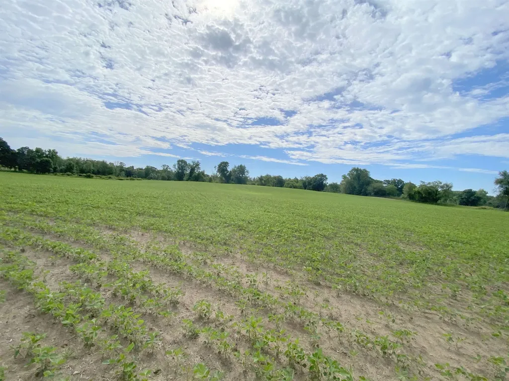 0 Elm (parcel B) Road Leroy Township MI 48892