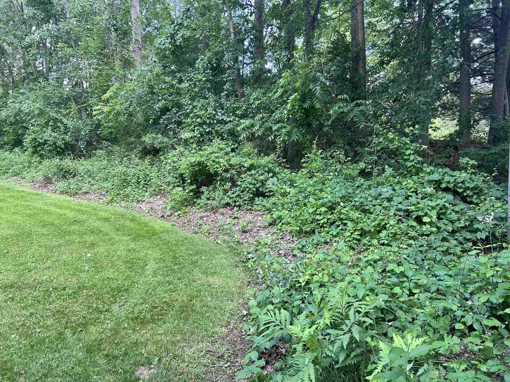 4550 Hummer Lake Road Brandon Charter Township MI 48462