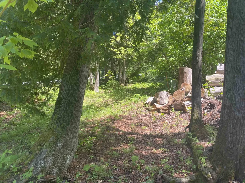22730 N Us Hwy 23 Highway Bearinger Township MI 49759