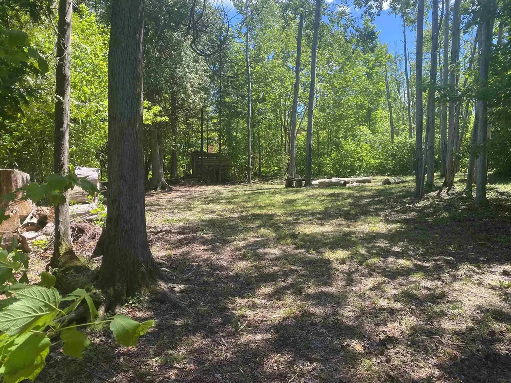 22730 N Us Hwy 23 Highway Bearinger Township MI 49759