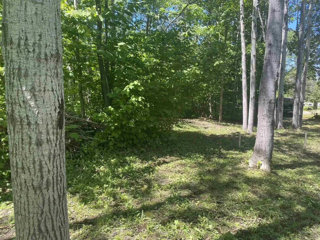 22730 N Us Hwy 23 Highway Bearinger Township MI 49759