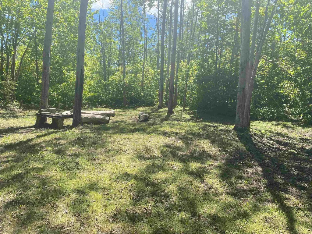 22730 N Us Hwy 23 Highway Bearinger Township MI 49759