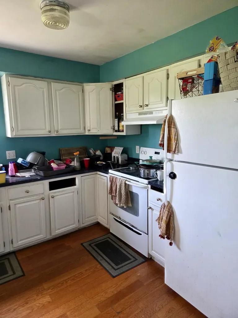 113 Four Square Drive Deerfield Township MI 48858