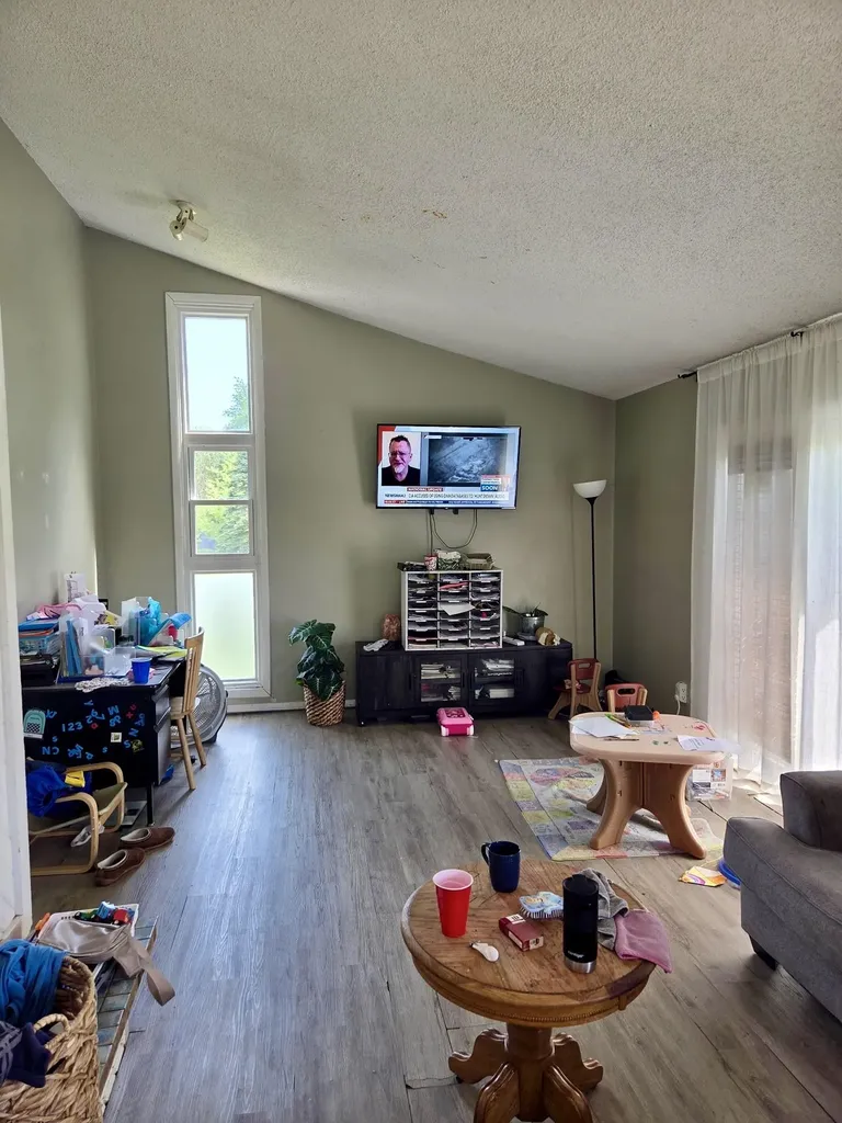113 Four Square Drive Deerfield Township MI 48858