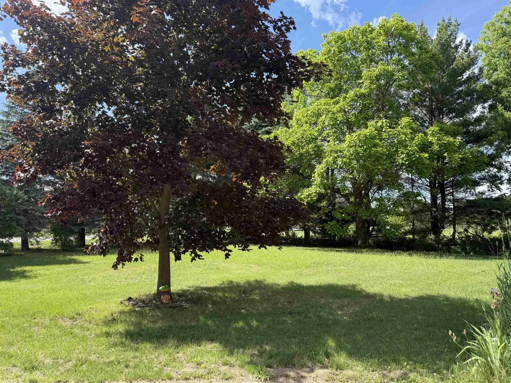 9749 Bell Road Taymouth Township MI 48415
