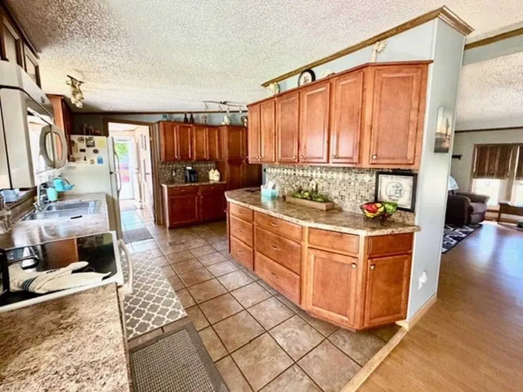 608 E Liberty Street Chesaning Village MI 48616