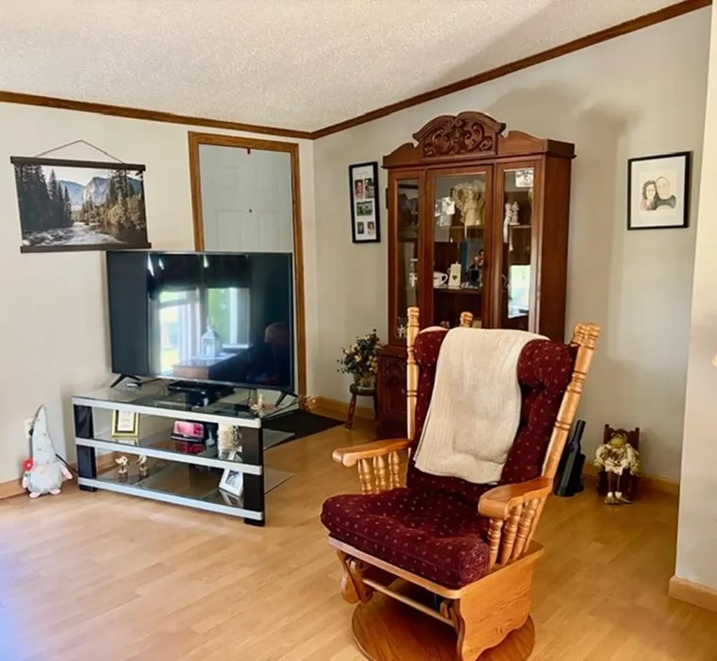608 E Liberty Street Chesaning Village MI 48616