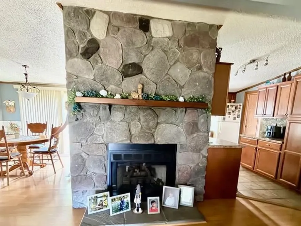 608 E Liberty Street Chesaning Village MI 48616