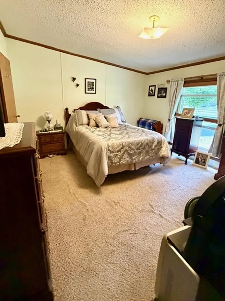 608 E Liberty Street Chesaning Village MI 48616