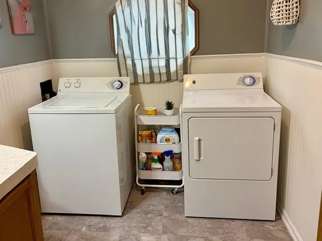 608 E Liberty Street Chesaning Village MI 48616