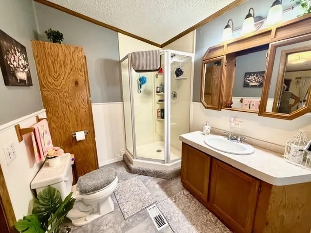 608 E Liberty Street Chesaning Village MI 48616