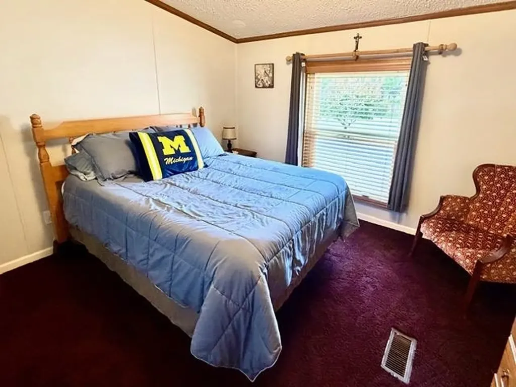 608 E Liberty Street Chesaning Village MI 48616