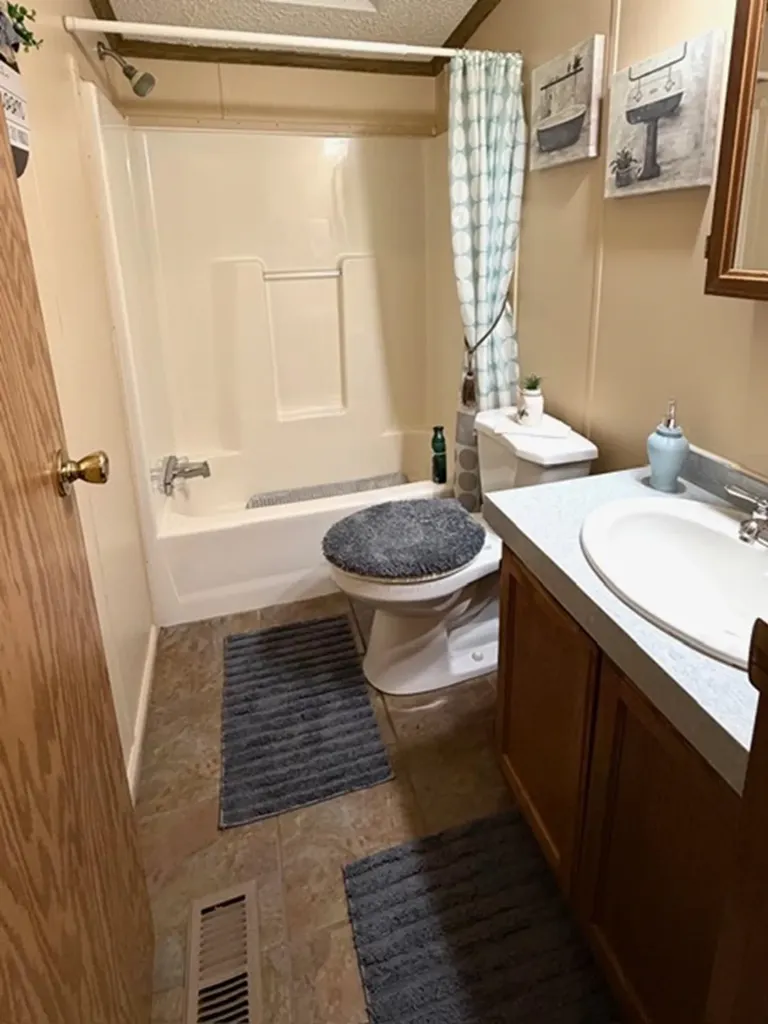 608 E Liberty Street Chesaning Village MI 48616