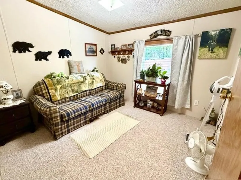 608 E Liberty Street Chesaning Village MI 48616