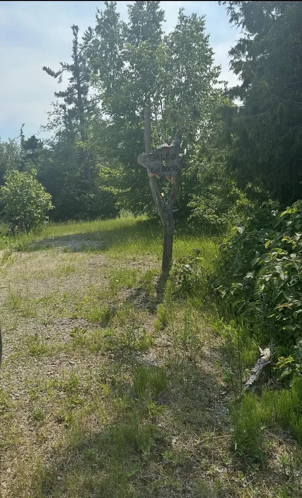 23310 N Us Highway 23 Bearinger Township MI 49759