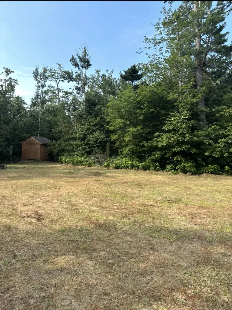 23310 N Us Highway 23 Highway Bearinger Township MI 49759