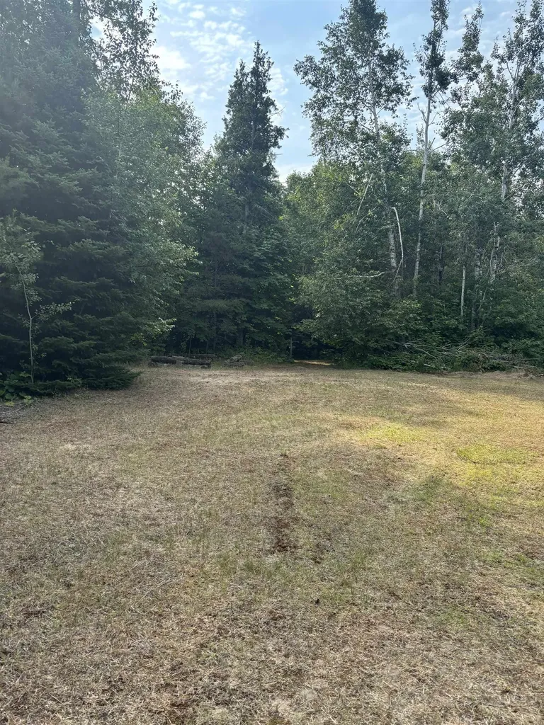 23310 N Us Highway 23 Highway Bearinger Township MI 49759
