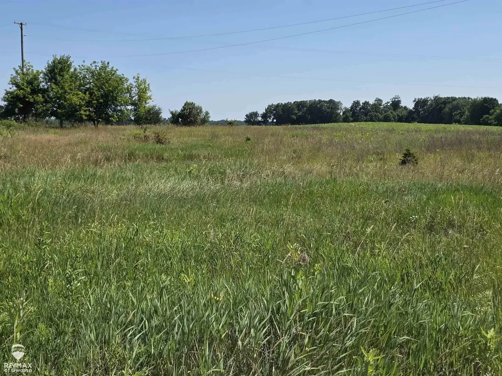 Garrison Road Bennington Township MI 48848