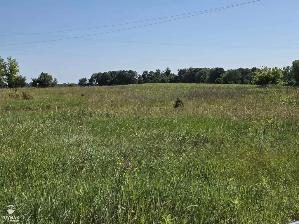 Garrison Road Bennington Township MI 48848