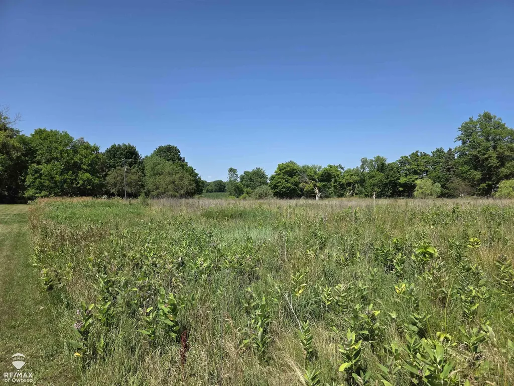 Garrison Road Bennington Township MI 48848
