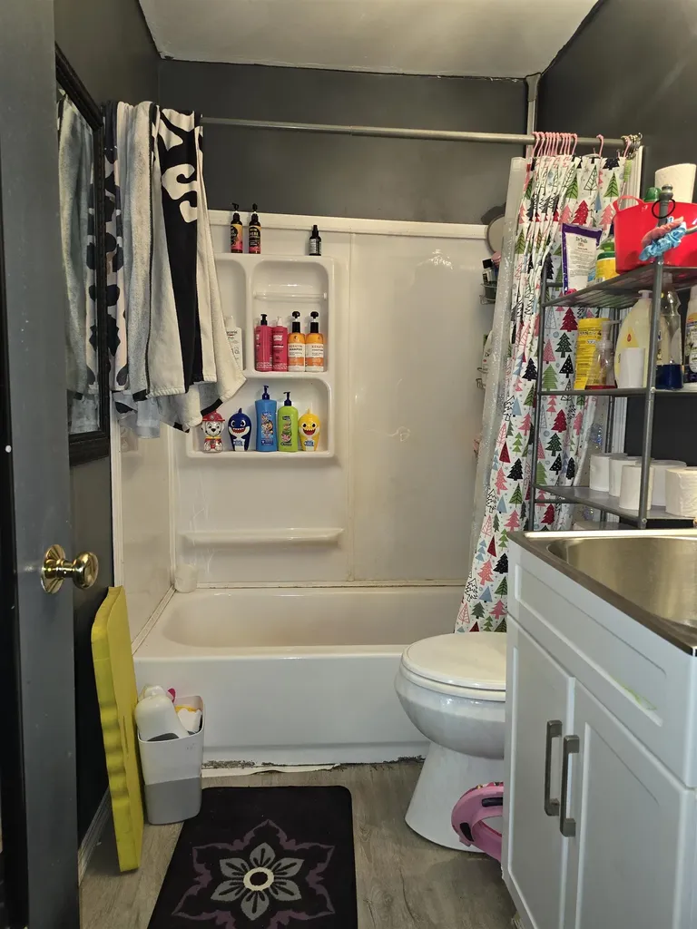 12573 Spruce Lane Perry Township MI 48872