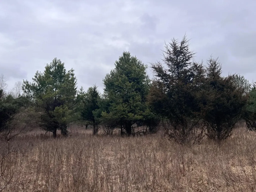 Vl Washington Street Perry City MI 48872