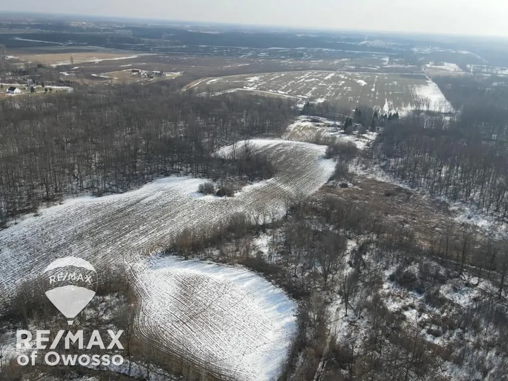 Lovejoy Road Perry Township MI 48872