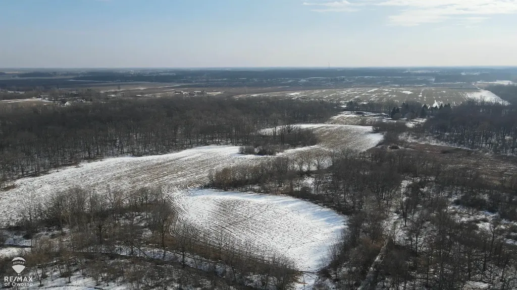 Lovejoy Road Perry Township MI 48872
