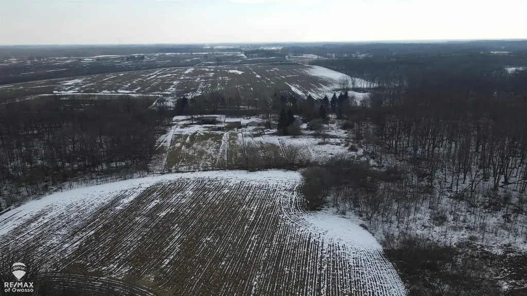 Lovejoy Road Perry Township MI 48872