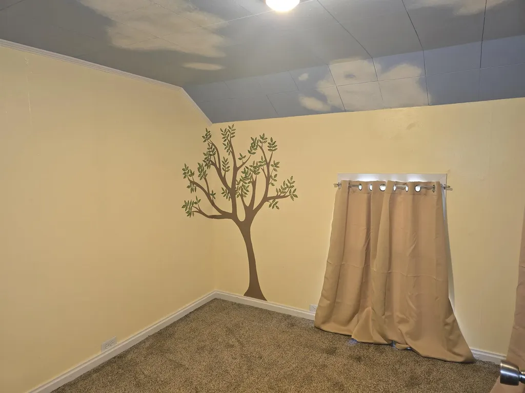 117 W Mcneil Street Corunna City MI 48817