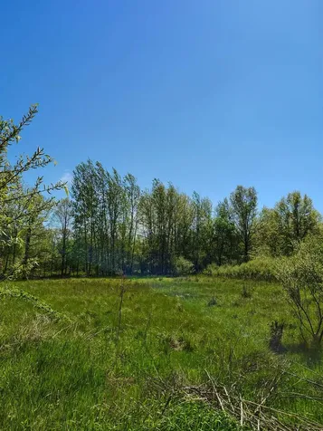 8602 S Fordney Road Brant Township MI 48655