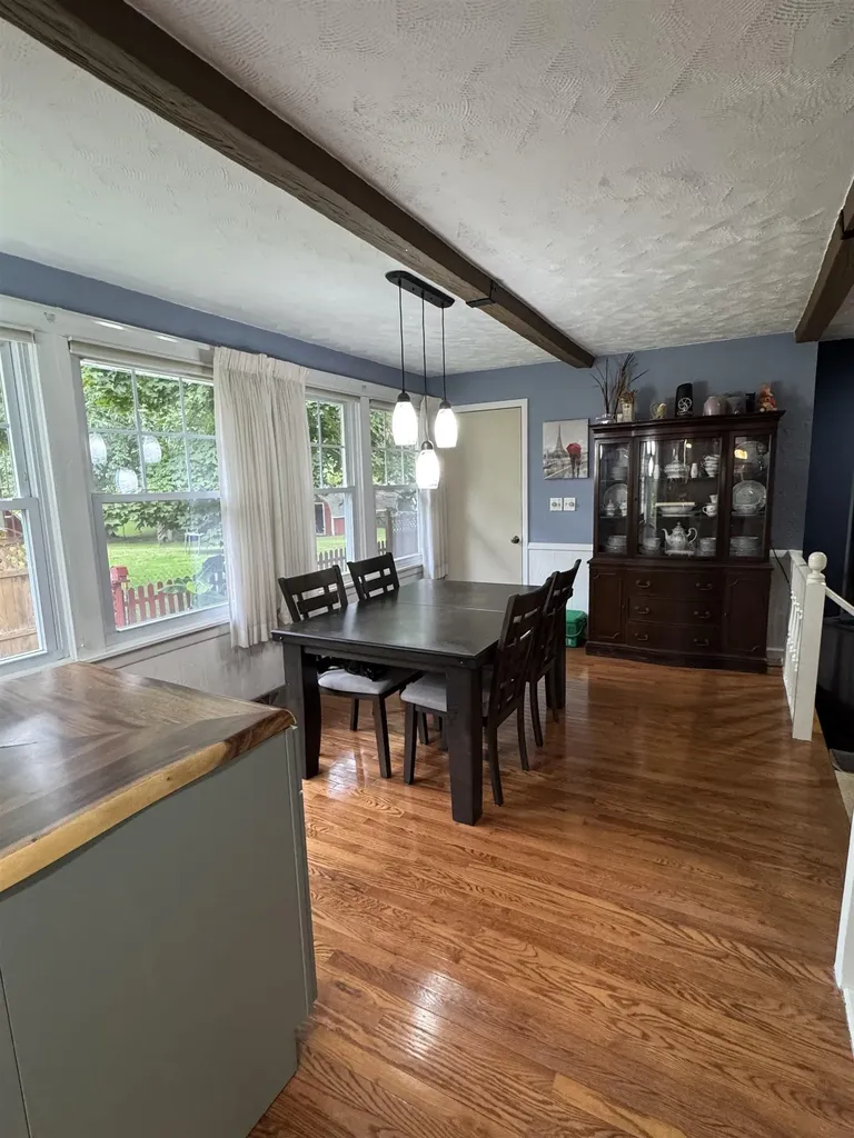 300 Brady Street Chesaning Village MI 48616