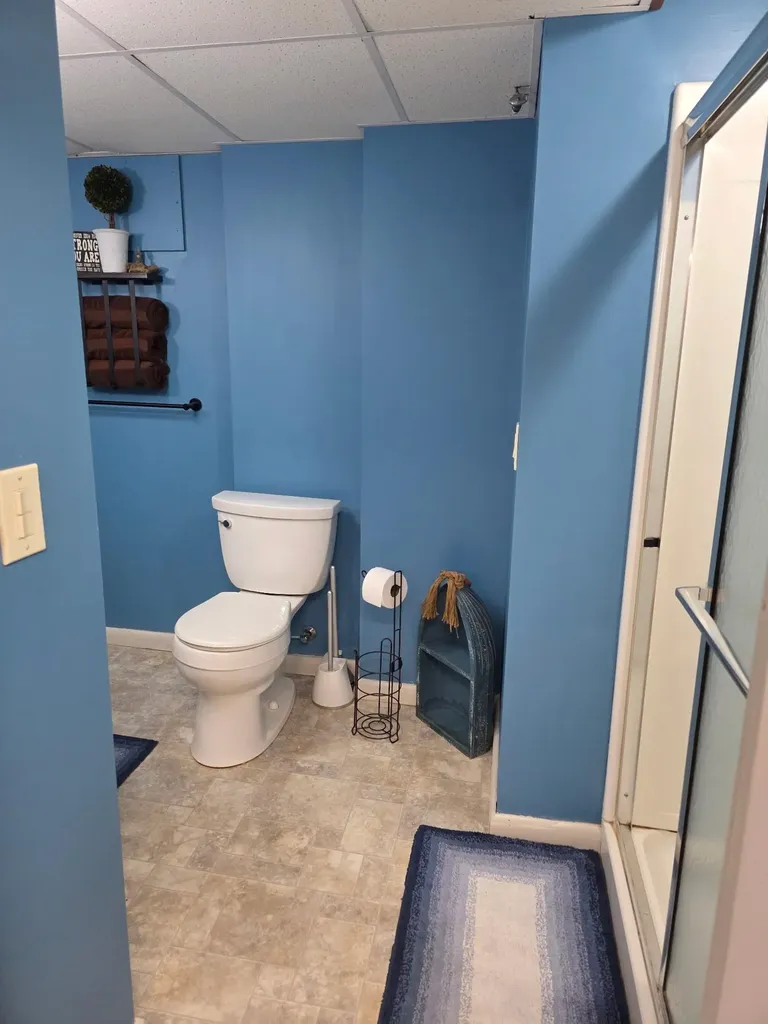 300 Brady Street Chesaning Village MI 48616