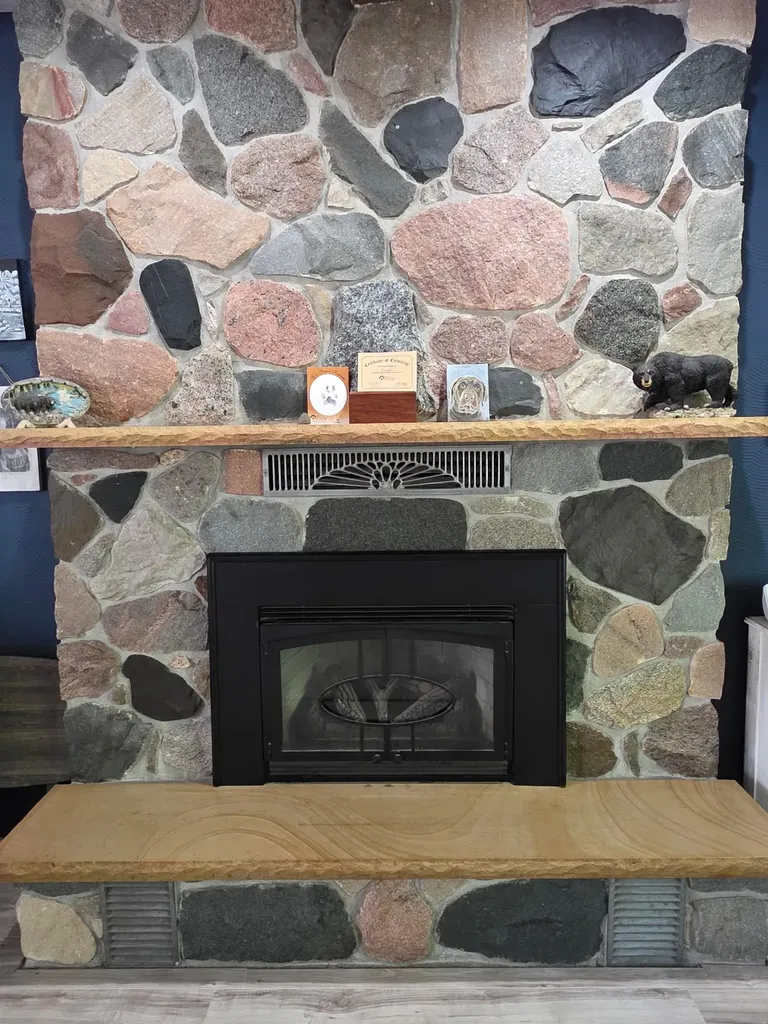 300 Brady Street Chesaning Village MI 48616