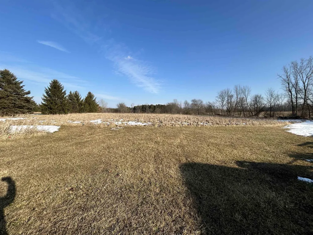 2755 S Hollister Road Ovid Township MI 48866