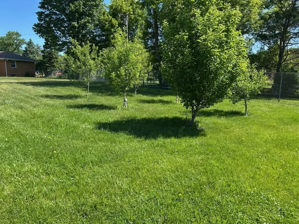 10900 Lansing Road Vernon Township MI 48429
