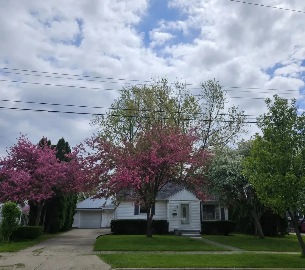 1427 W King Street Owosso City MI 48867