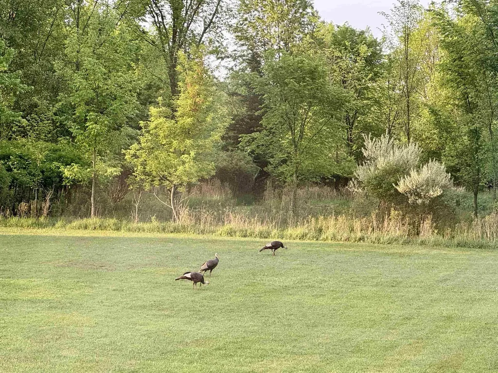850 Middleton Road Caledonia Charter Township MI 48867