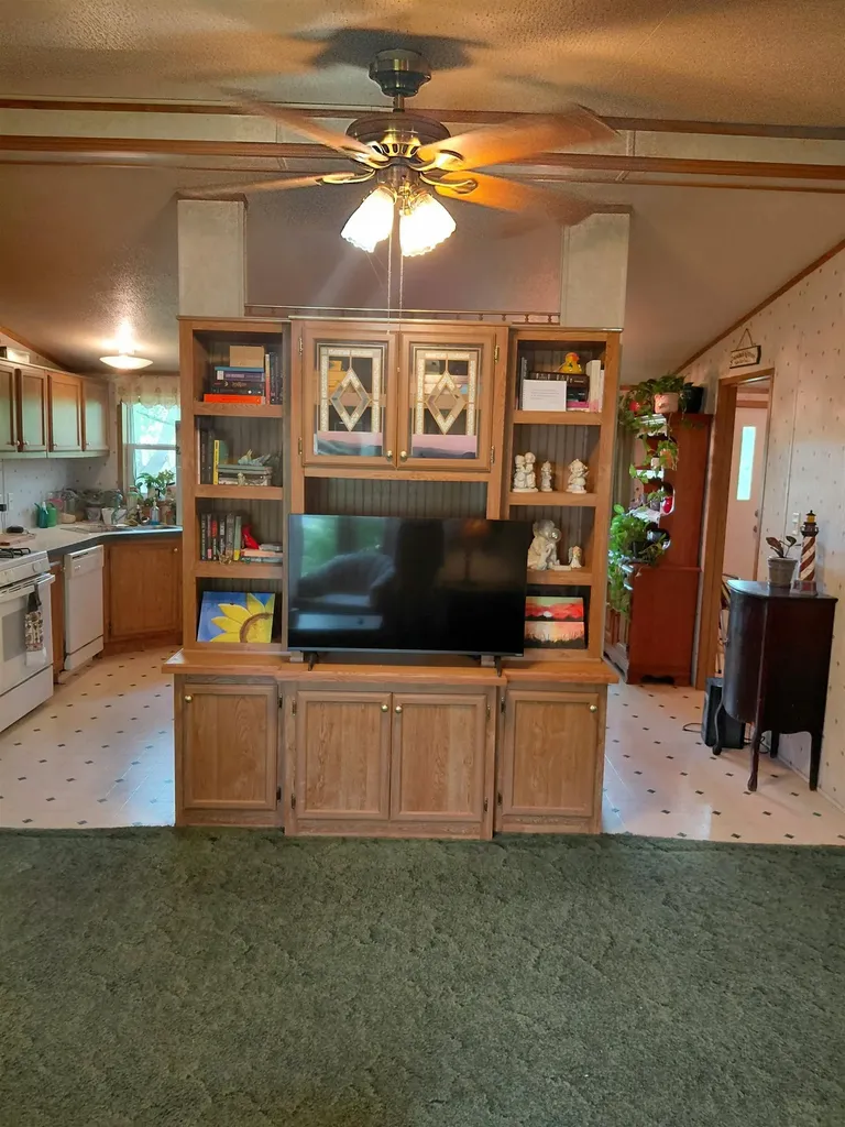 332 N Brooks Street Owosso City MI 48867
