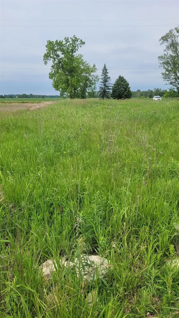 2305 W Juddville Road Rush Township MI 48867