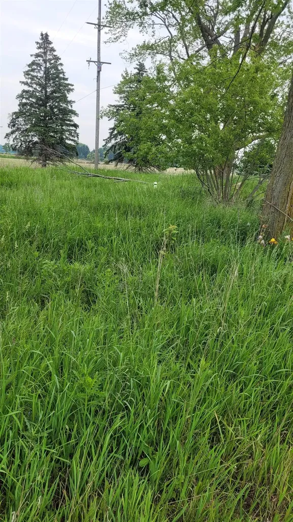 2305 W Juddville Road Rush Township MI 48867