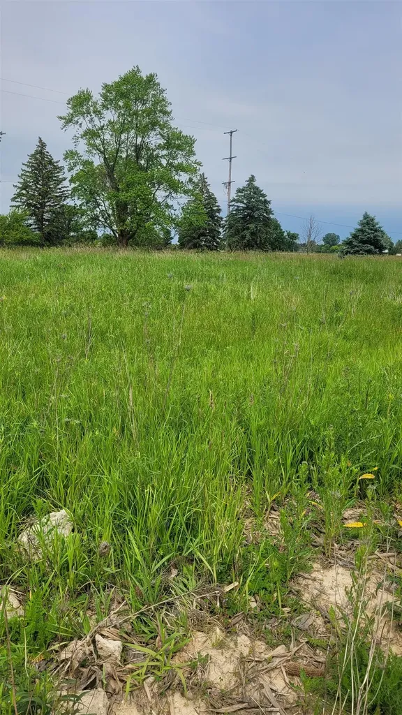 2305 W Juddville Road Rush Township MI 48867