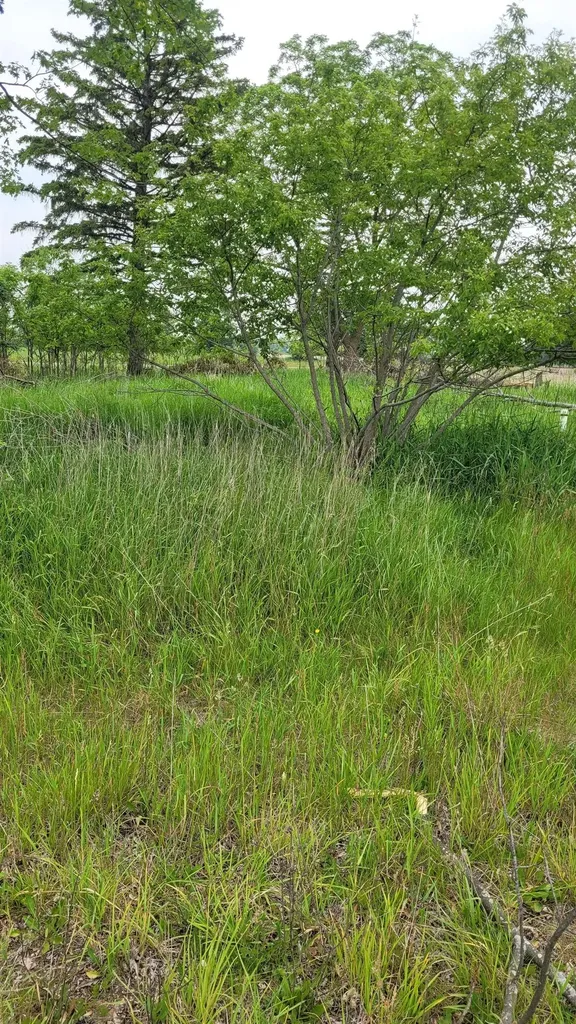 2305 W Juddville Road Rush Township MI 48867