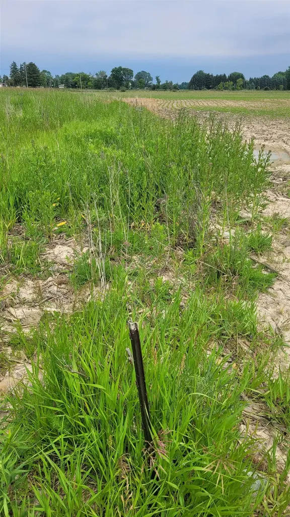 2305 W Juddville Road Rush Township MI 48867