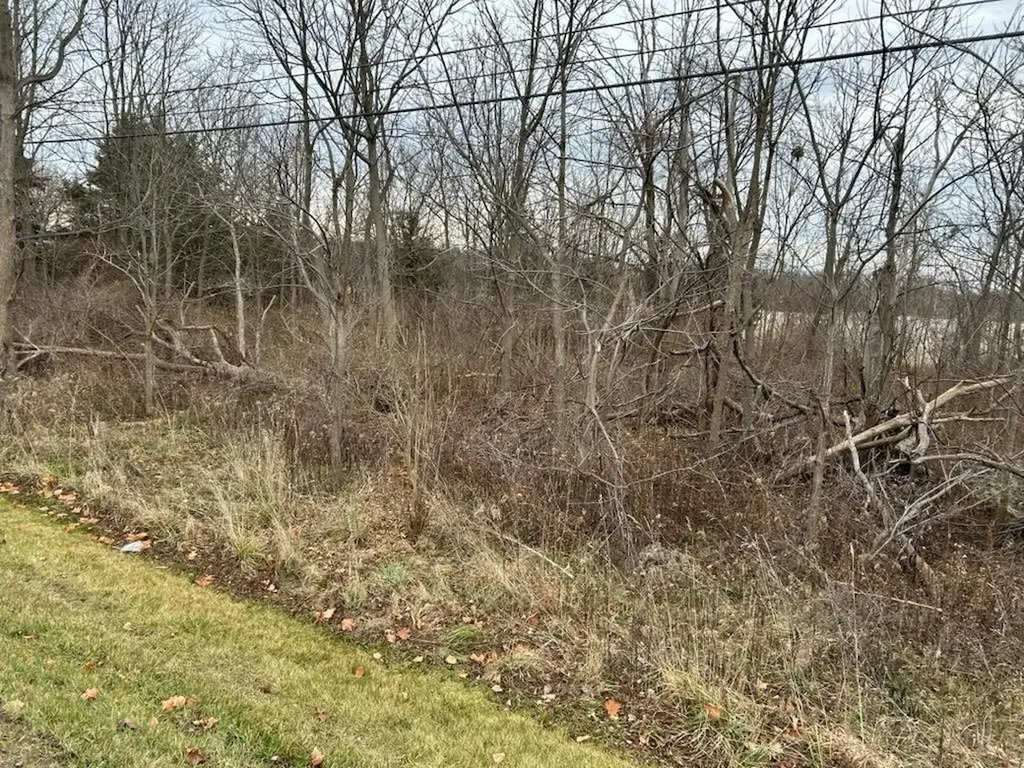 7690 M-71 Highway Vernon Township MI 48429