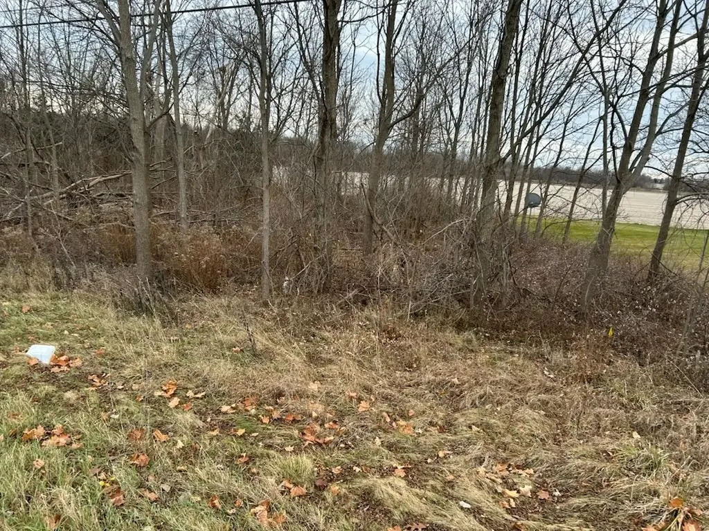 7690 M-71 Highway Vernon Township MI 48429