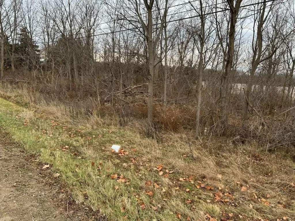 7690 M-71 Highway Vernon Township MI 48429