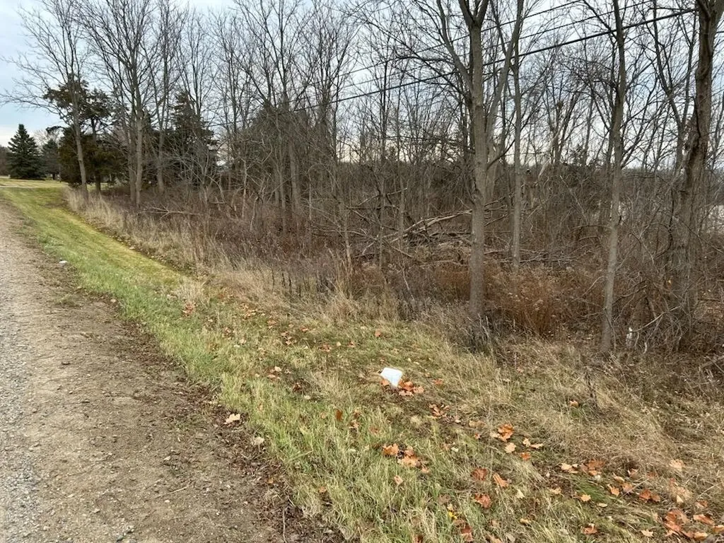 7690 M-71 Highway Vernon Township MI 48429