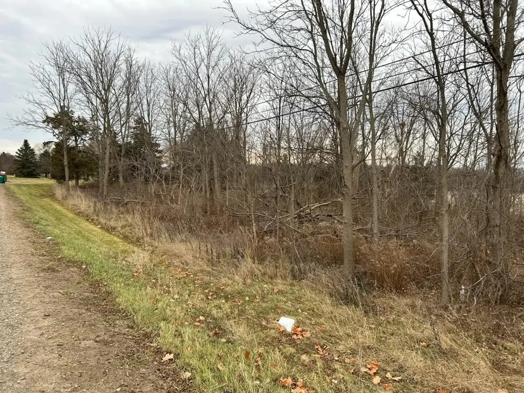 7690 M-71 Highway Vernon Township MI 48429